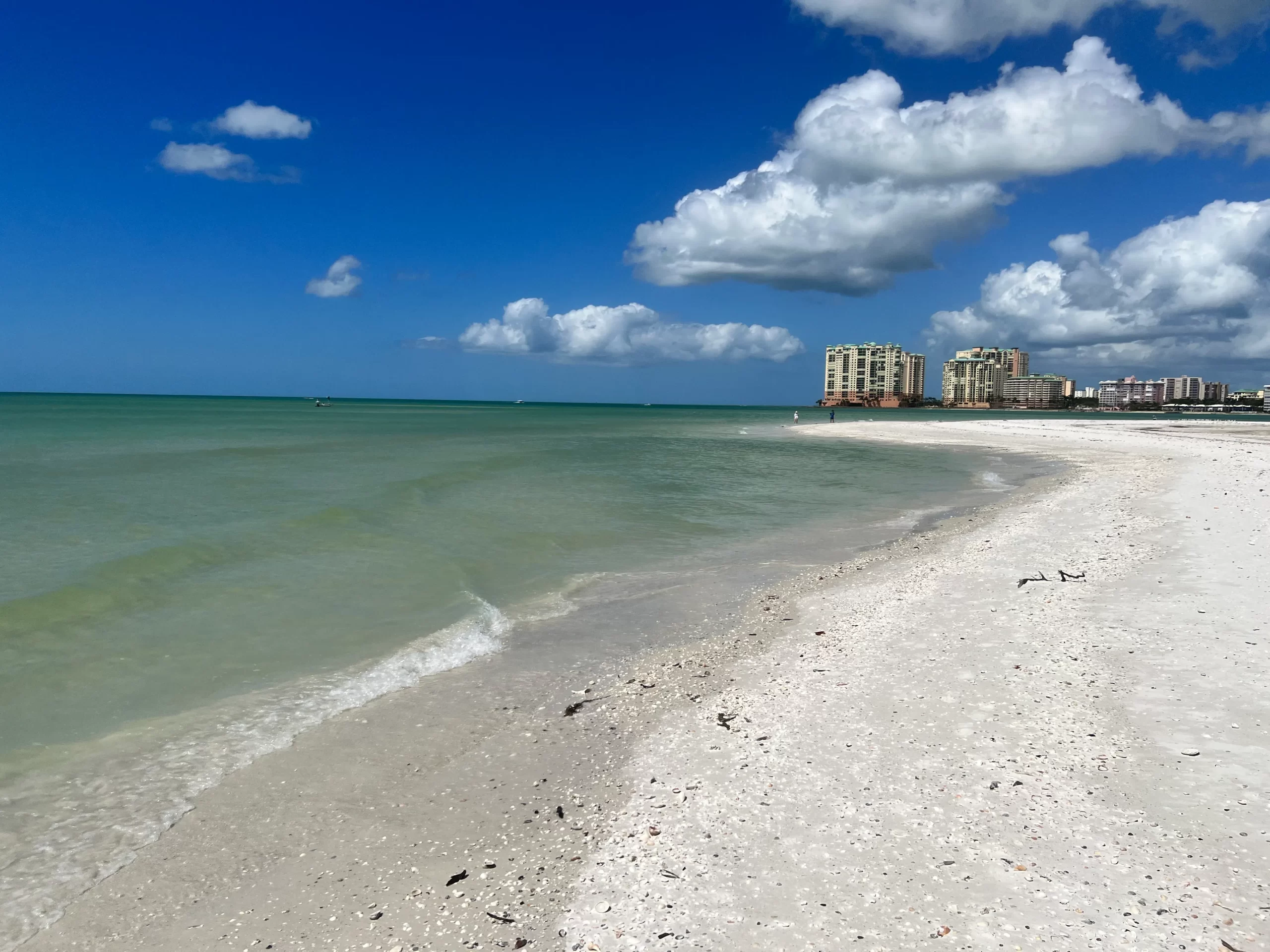 Marco Island Shelling TIdes